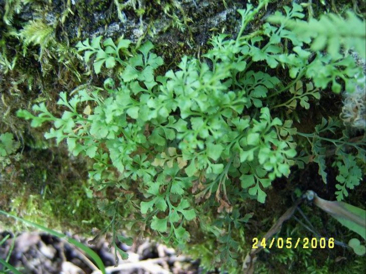 2006_02.JPG