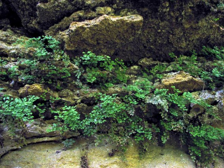 2007_03.JPG