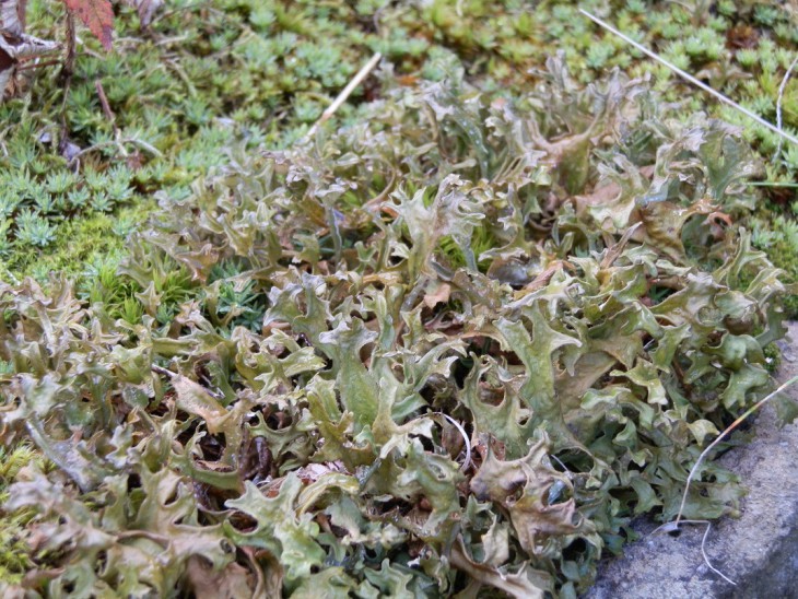 P9020240.JPG