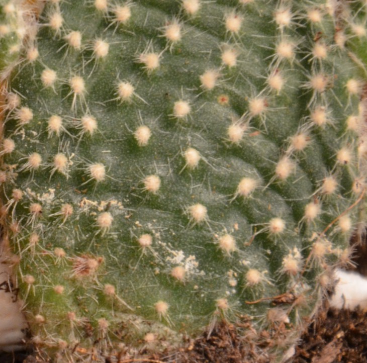 DSC_0187.JPG