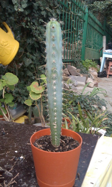 IMAG2927.jpg