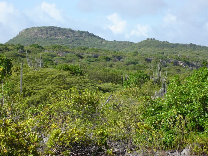 DSC07546.JPG