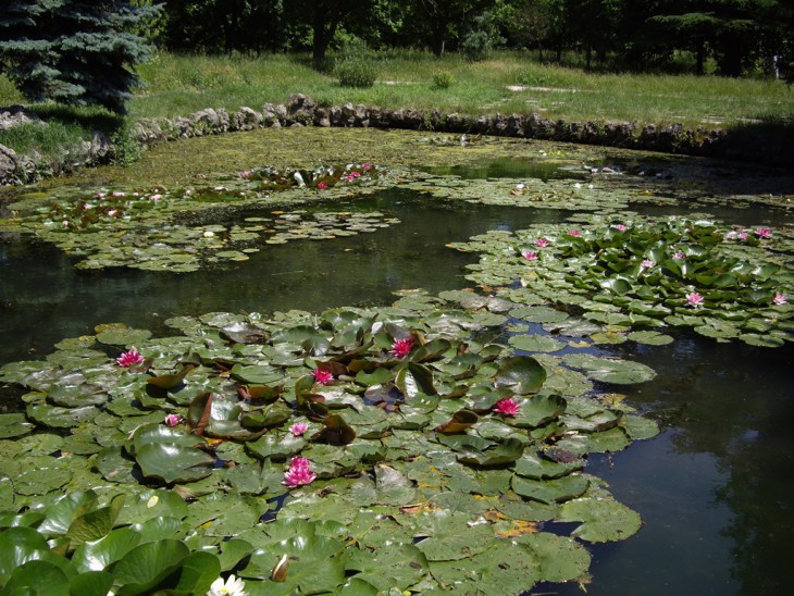 IMGP0155.jpg