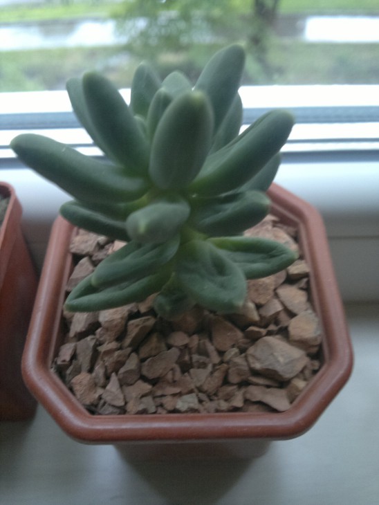 2014-06-13-359.jpg