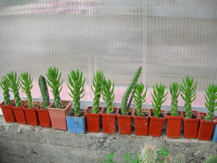 DSCN6172.JPG