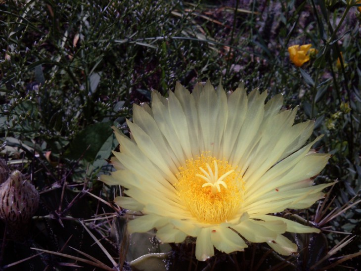 CAM01041 1.jpg