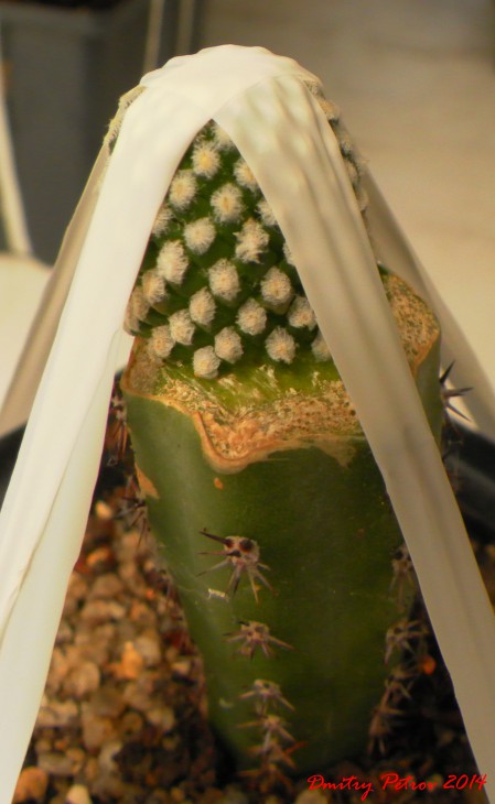 2573-001.JPG