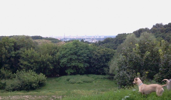 2014-07-23 19.14.02.jpg