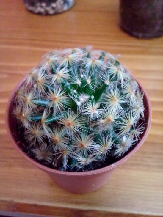 3)