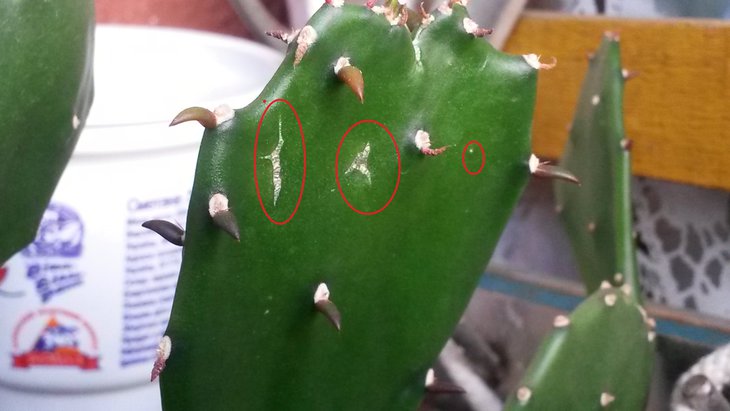 20140826_091518.jpg