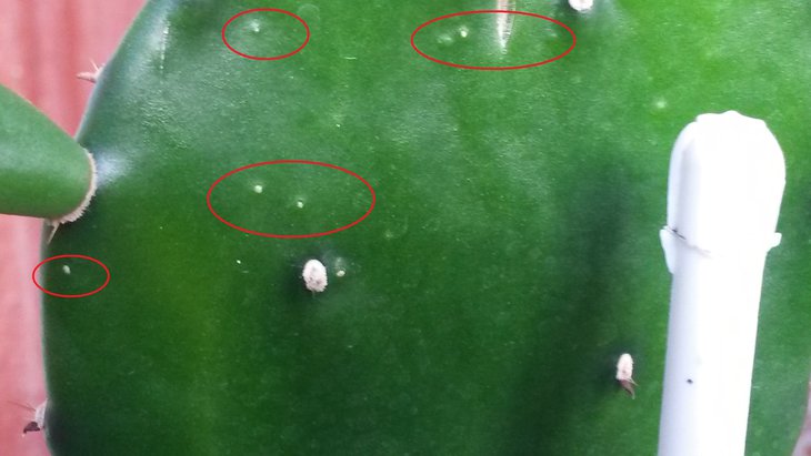 20140826_091524.jpg
