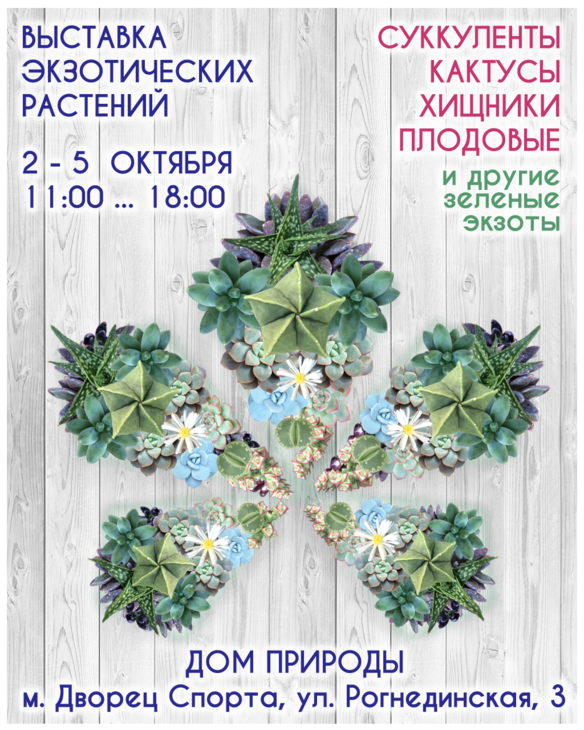 succulent-show-kiev-1.png