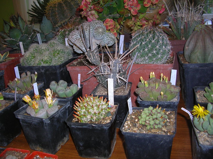 DSCN6609.JPG