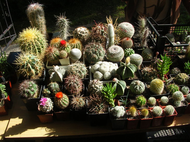 DSCN6591.JPG