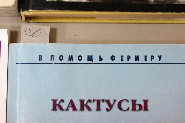 Вот так-то, господа фермеры ;)