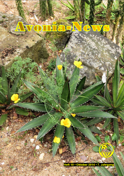 Avonia-News_Oktober2014.png