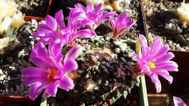 20141010_110919.jpg