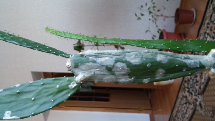 20141012_114140.jpg