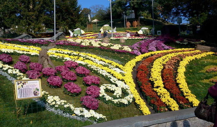 2014-10-07 12.00.46.jpg