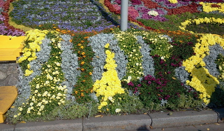 2014-10-07 11.58.57.jpg