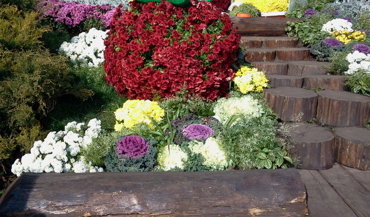 2014-10-07 11.58.07.jpg