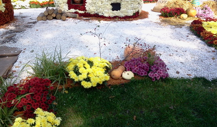 2014-10-07 11.56.10.jpg