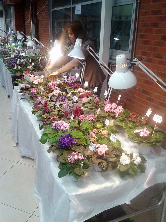 20141030_170124.jpg