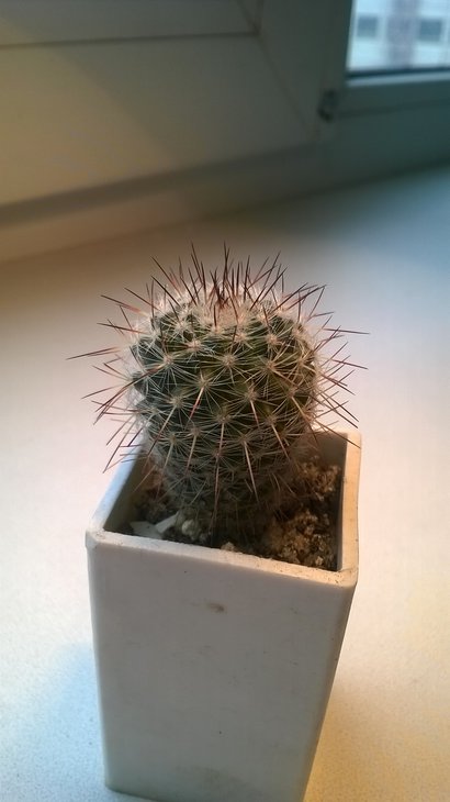WP_20141031_009.jpg