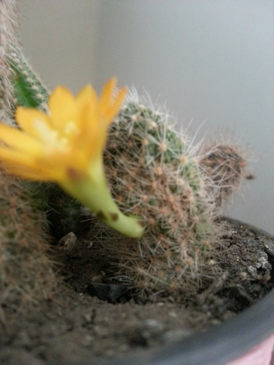 20140419_101133.jpg