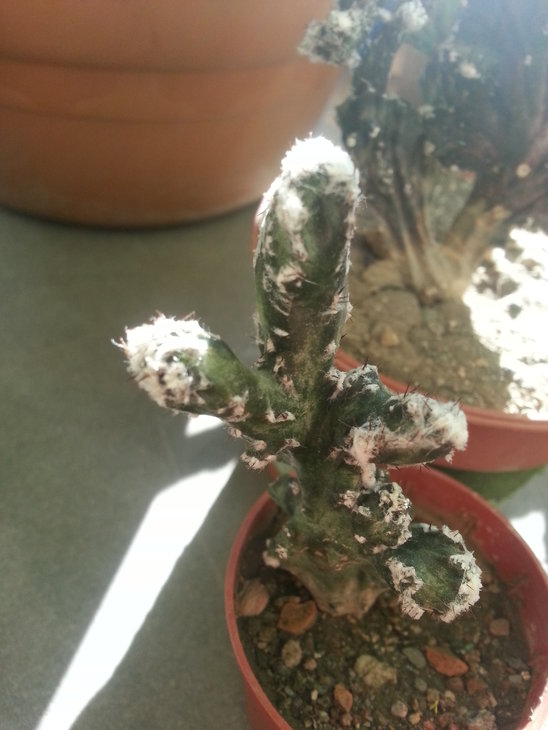 20141109_104950.jpg