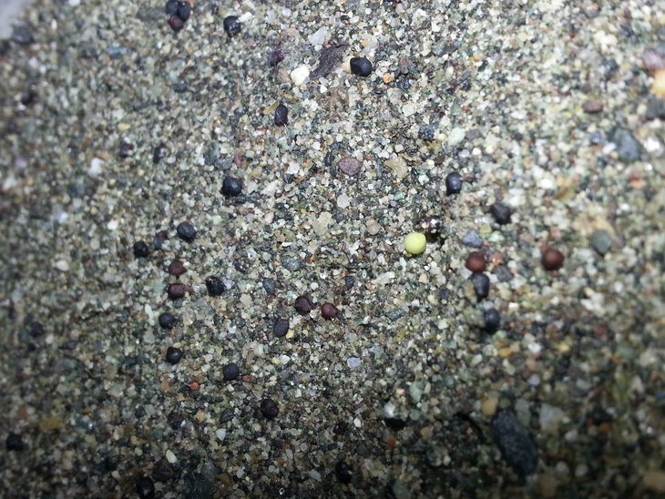 20141125_165203.jpg