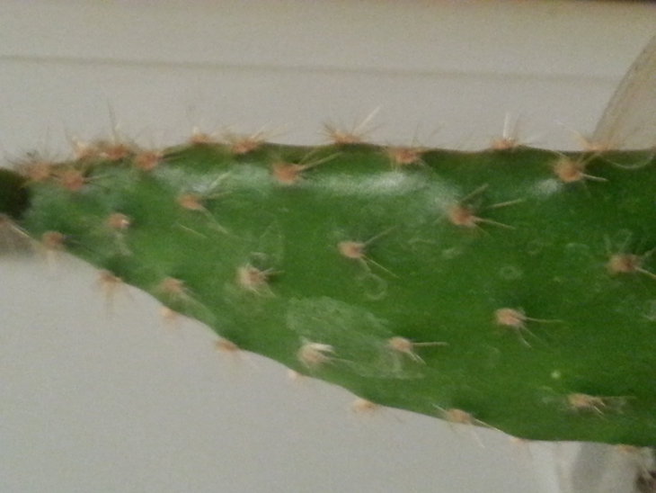 20141125_212221.jpg