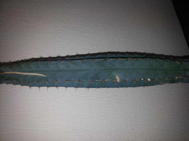 20141029_205902.jpg
