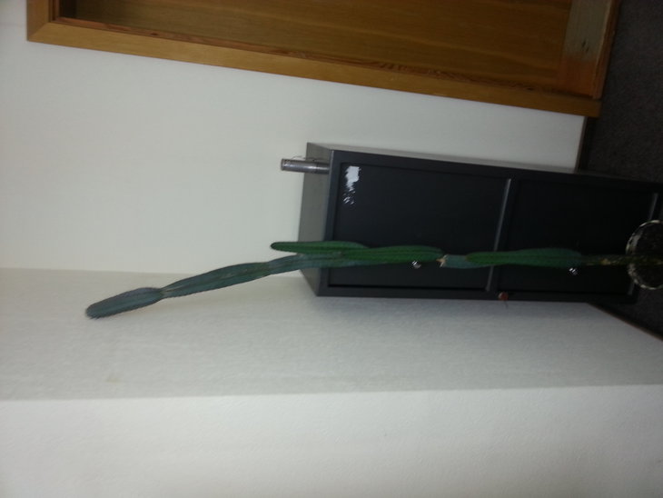 20141029_205604.jpg