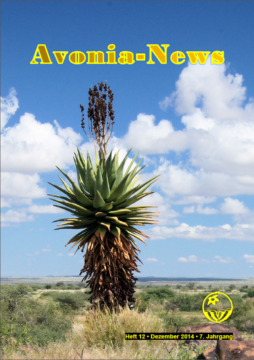 Avonia-News_2014-12.png