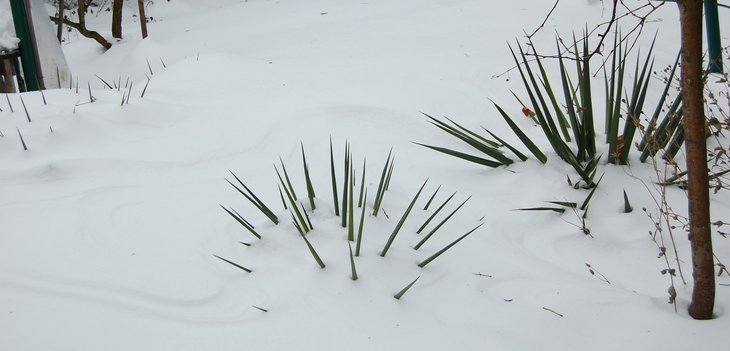 inverno.JPG