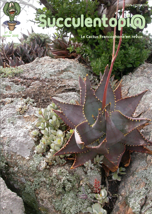 Succulentopia_12.png