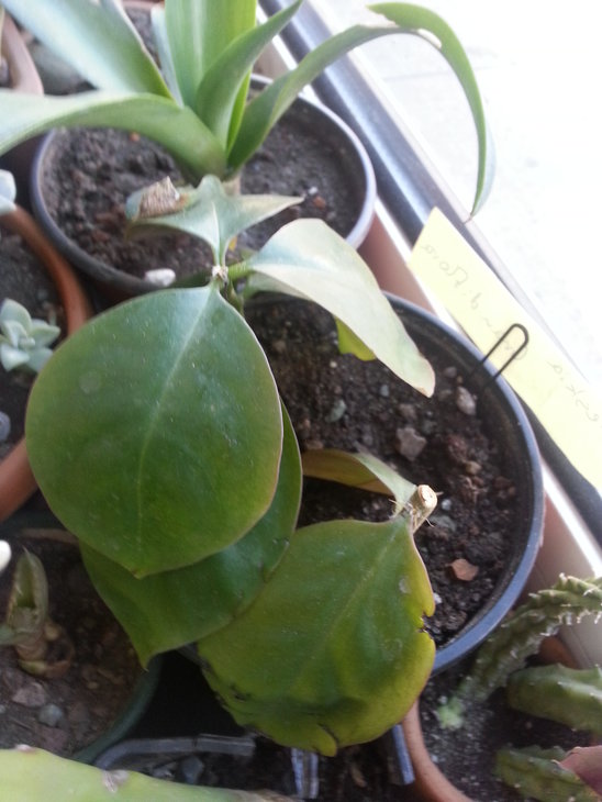 20150205_172625.jpg