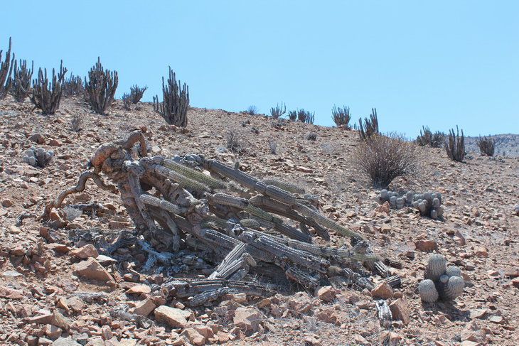 IMG_1371.jpg11.jpg