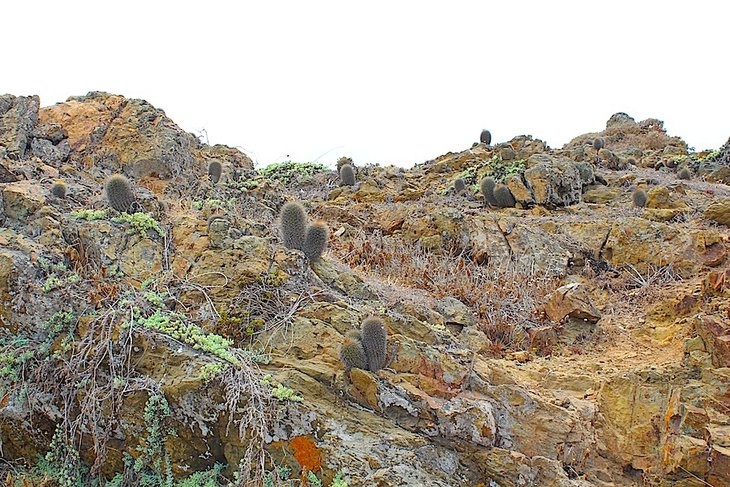 Коs_2499.JPG