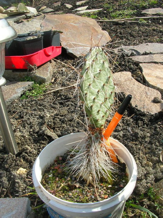 DSCN8817.JPG