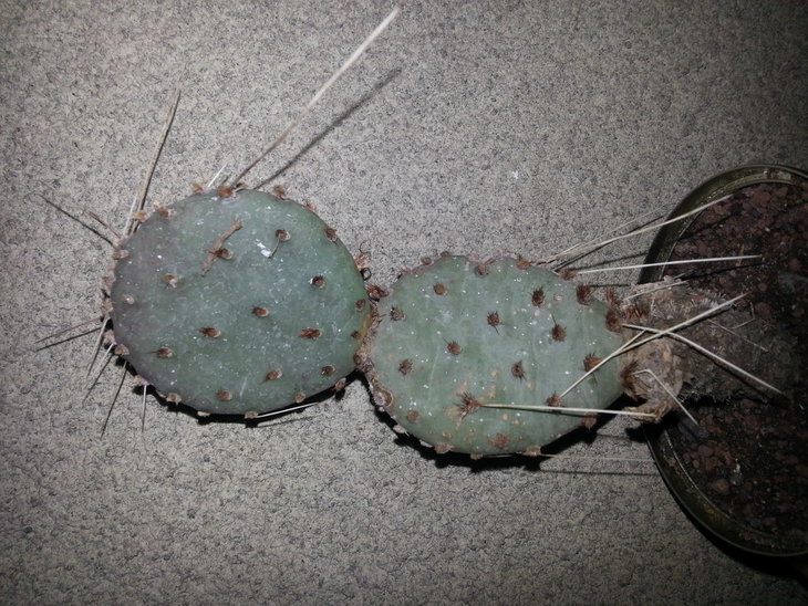 20150327_193606.jpg