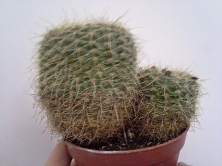 20150327_103525.jpg