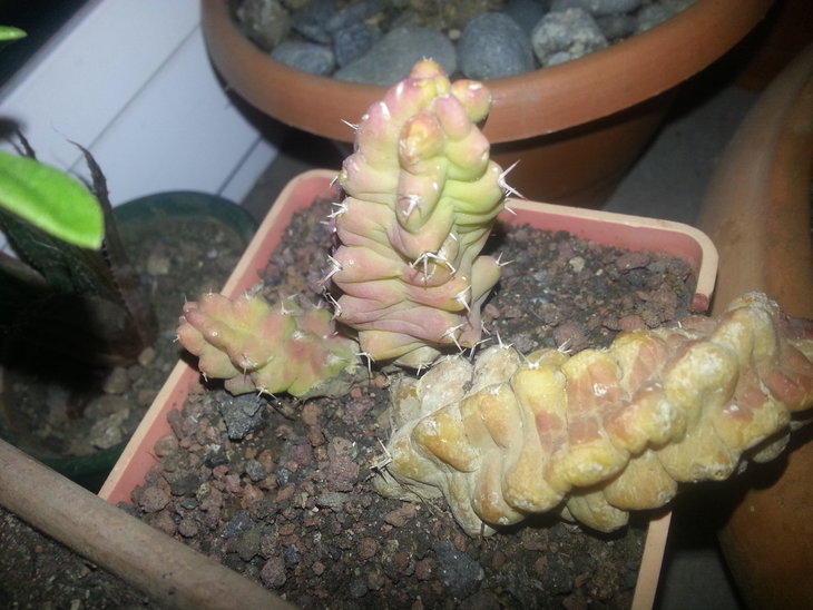 20150329_214645.jpg