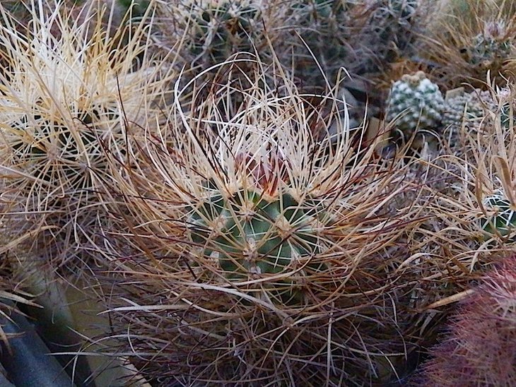 P8588.JPG