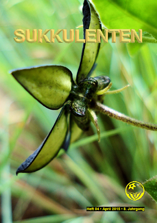 Sukkulenten_4-2015.png