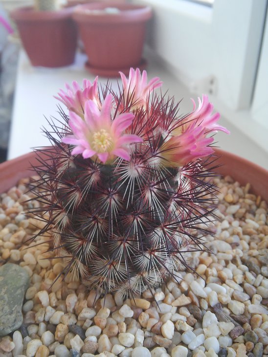 20150417_145647.jpg