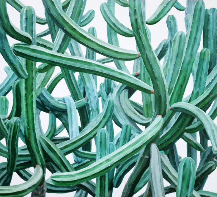 cactus-4.jpg