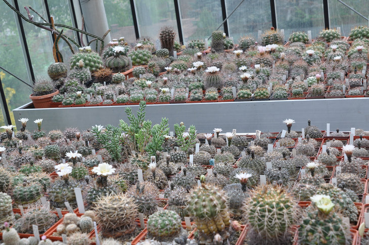 DSC_0207.jpg