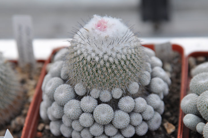 DSC_0075.jpg